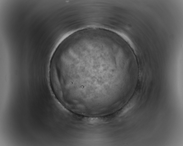 X0000088190903200705221700