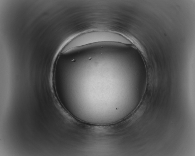 X0000088190904200705221700