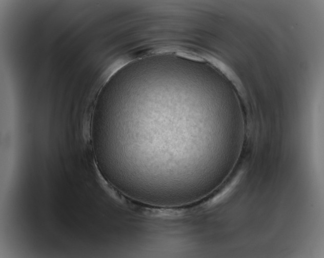 X0000088190905200705221700