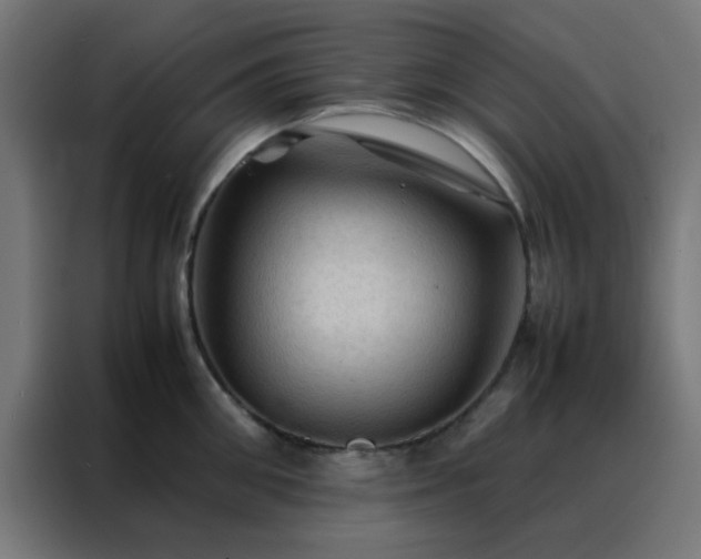 X0000088190906200705221700