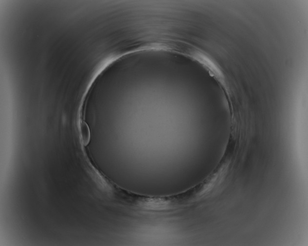 X0000088190907200705221700