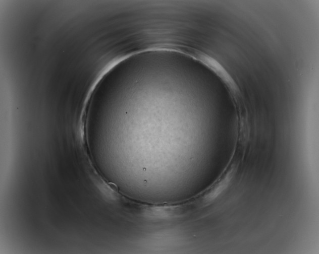 X0000088190908200705221700