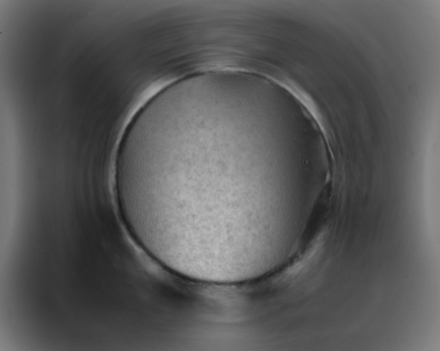 X0000088190909200705221700