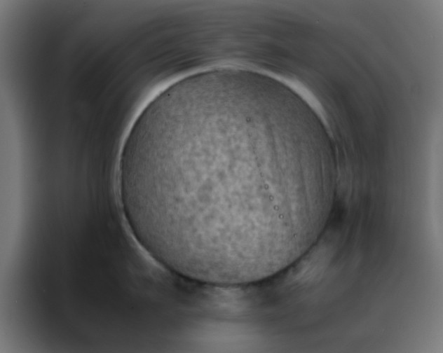 X0000088190911200705221700