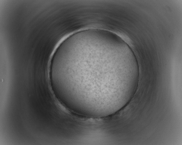 X0000088190912200705221700