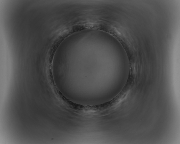 X0000088190913200705221659