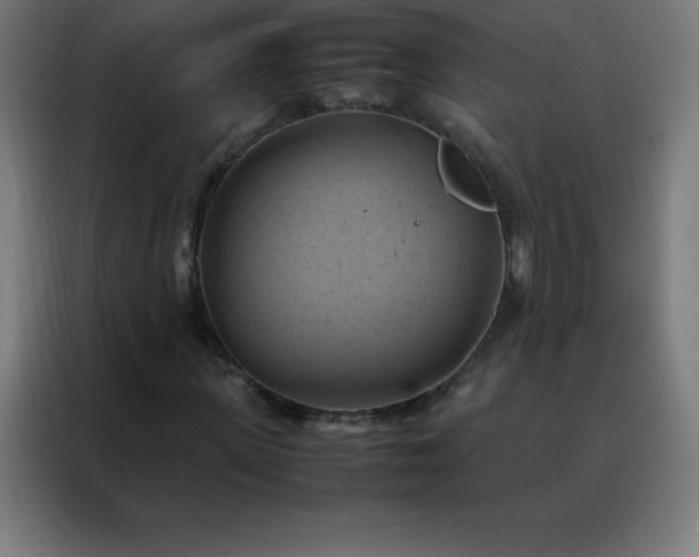 X0000088190915200705221659