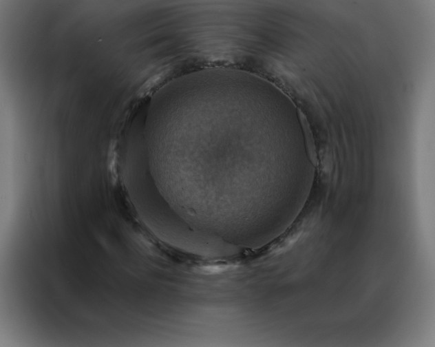 X0000088190916200705221659