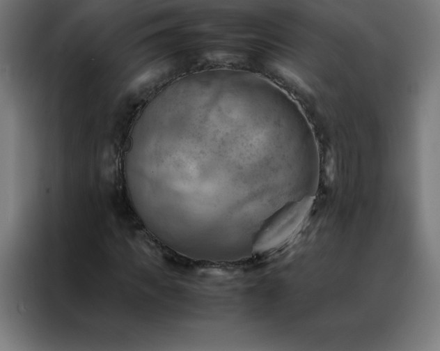 X0000088190917200705221659