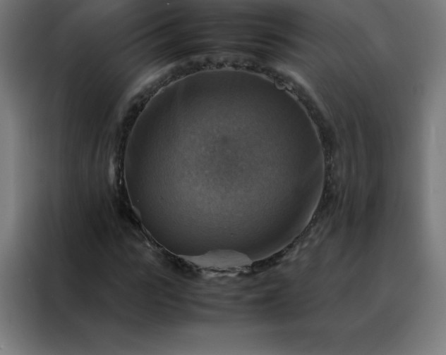 X0000088190919200705221659