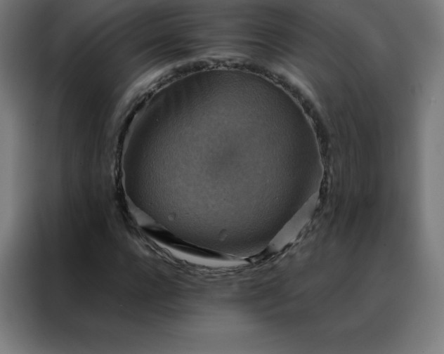 X0000088190920200705221659