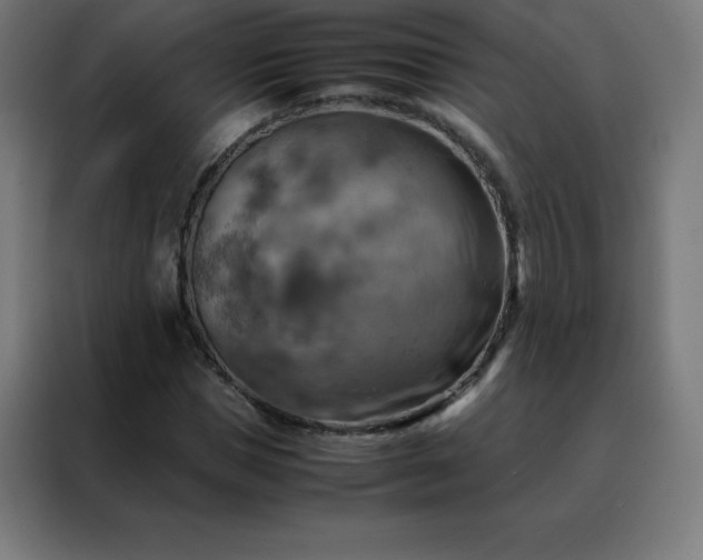 X0000088190921200705221659