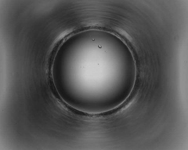 X0000088190922200705221659