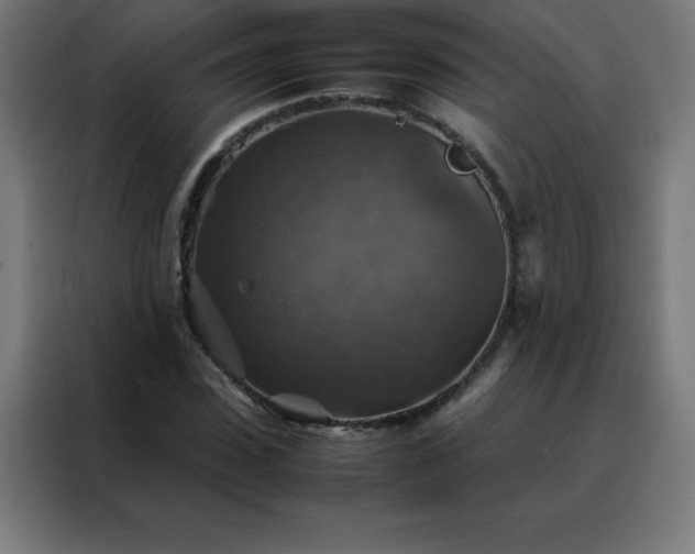 X0000088190923200705221659