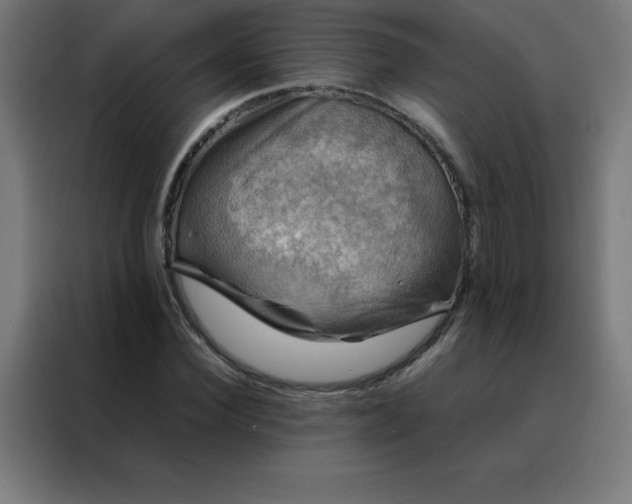 X0000088190924200705221659