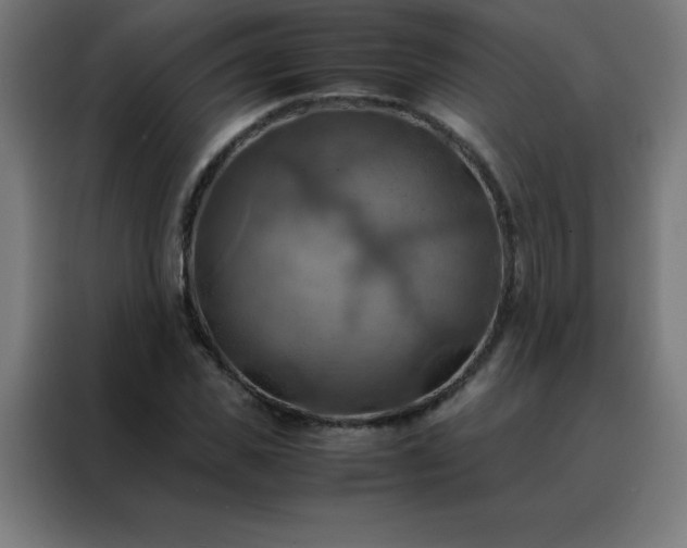 X0000088190925200705221659