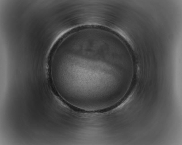X0000088190926200705221659