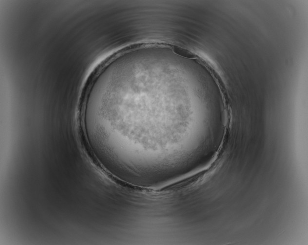 X0000088190928200705221659