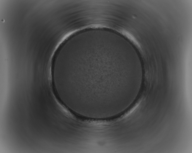 X0000088190934200705221659