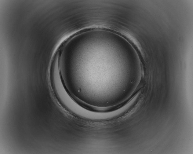 X0000088190936200705221659