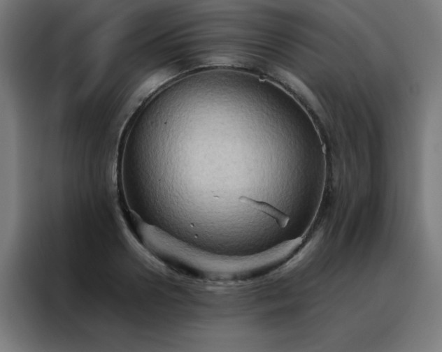 X0000088190938200705221659