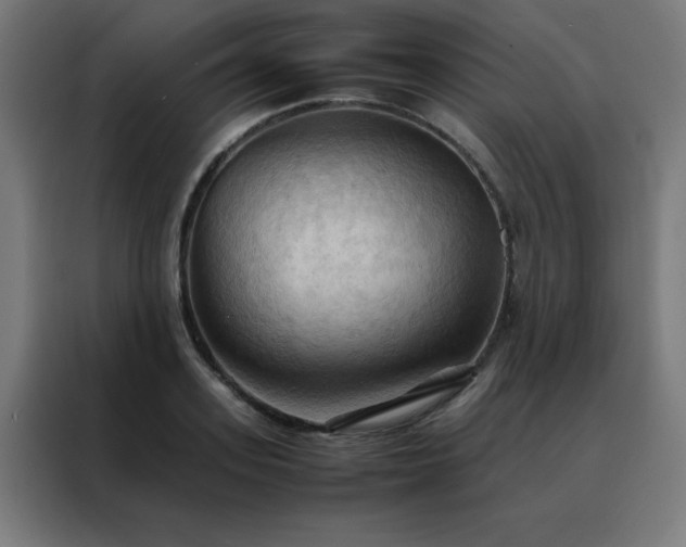 X0000088190939200705221659