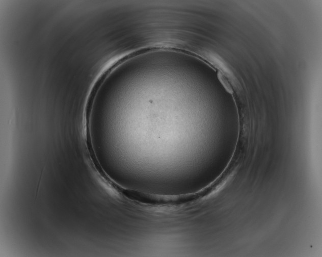 X0000088190940200705221659