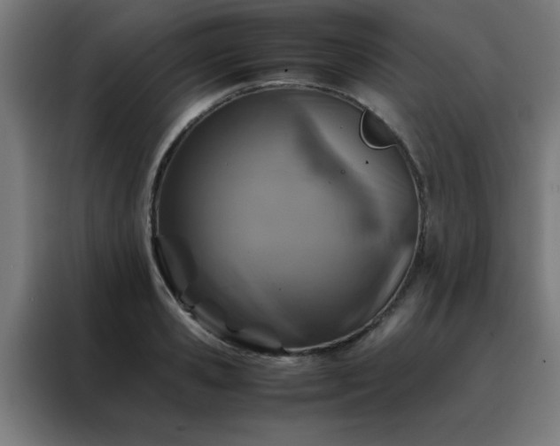 X0000088190941200705221659