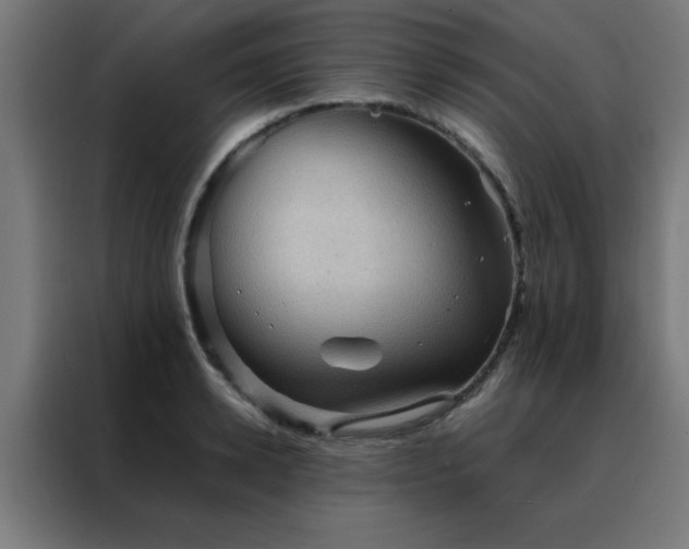 X0000088190942200705221659