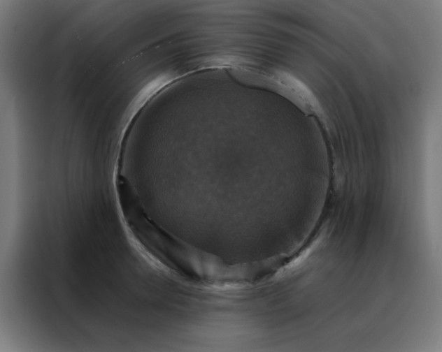 X0000088190946200705221659