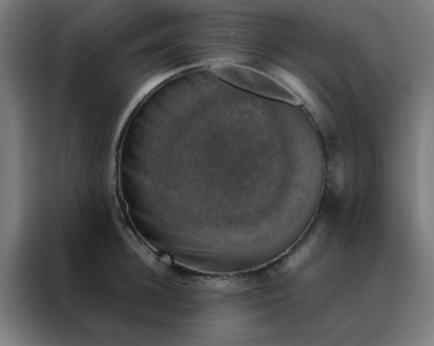 X0000088190948200705221659