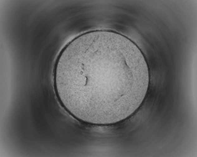 X0000088190950200705221659