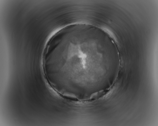 X0000088190952200705221659