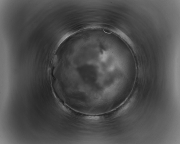 X0000088190953200705221659