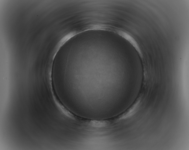 X0000088190954200705221700