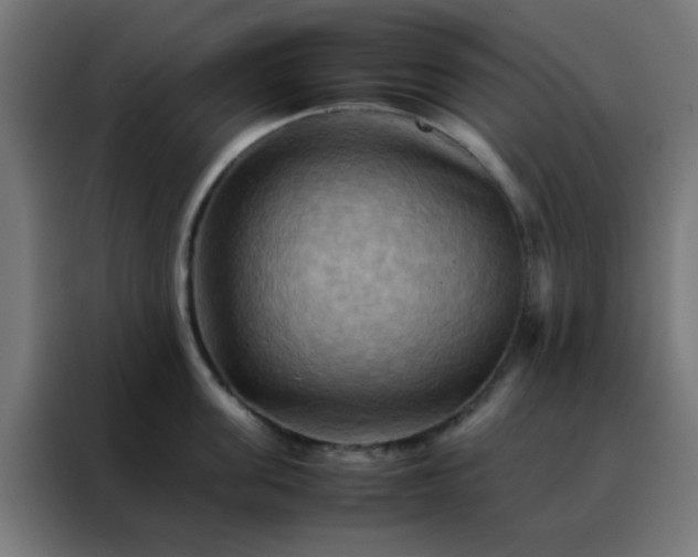 X0000088190955200705221700