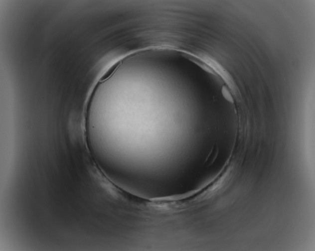 X0000088190956200705221700