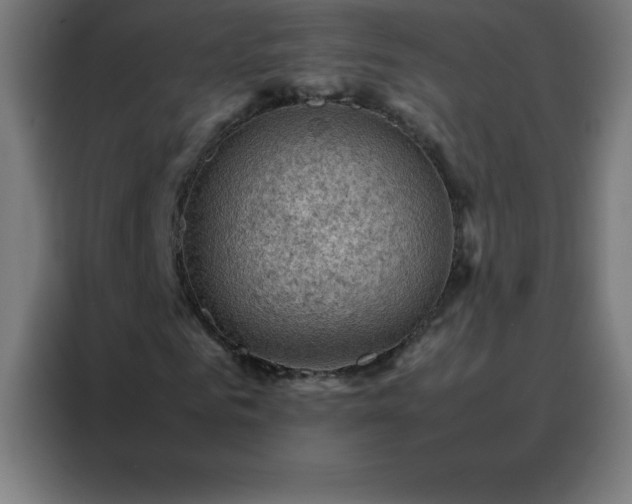 X0000088190961200705221659