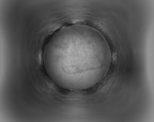 X0000088190963200705221659