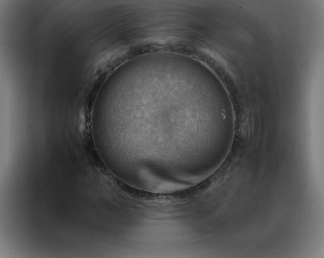X0000088190966200705221659