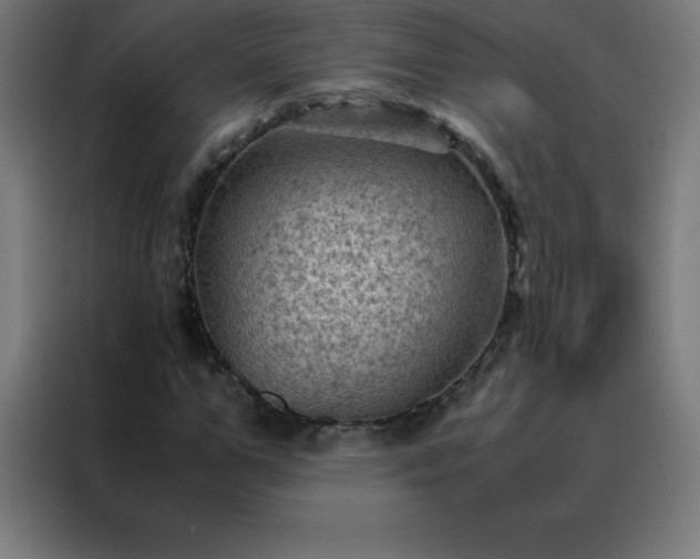 X0000088190967200705221659