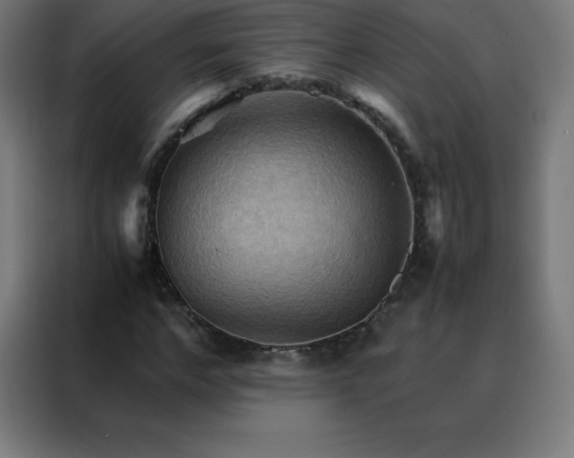 X0000088190968200705221659