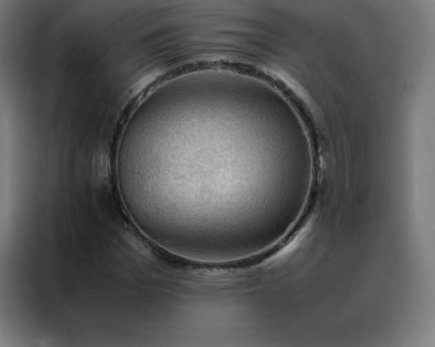 X0000088190969200705221659
