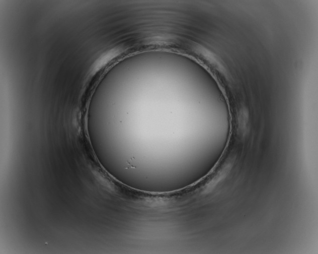 X0000088190970200705221659