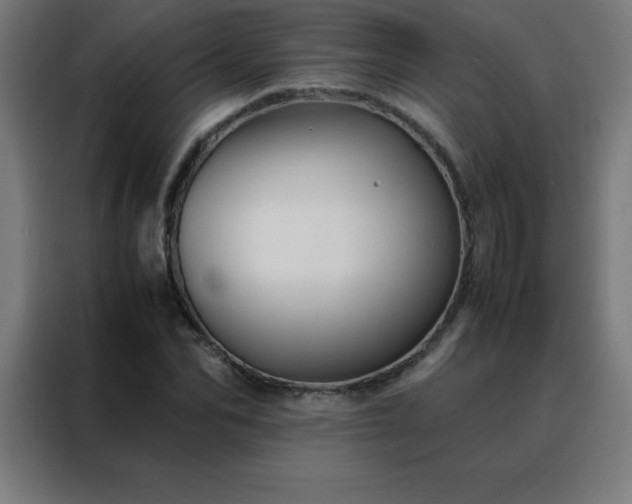 X0000088190974200705221659
