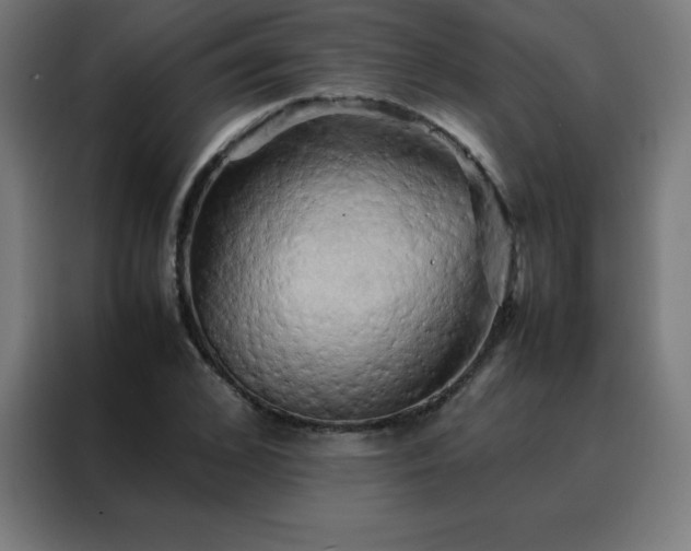 X0000088190976200705221659