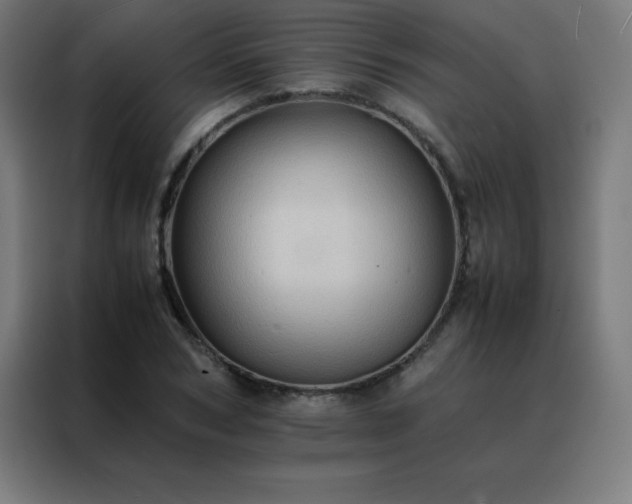 X0000088190978200705221659