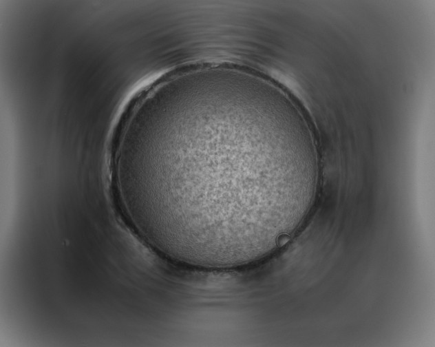 X0000088190979200705221659
