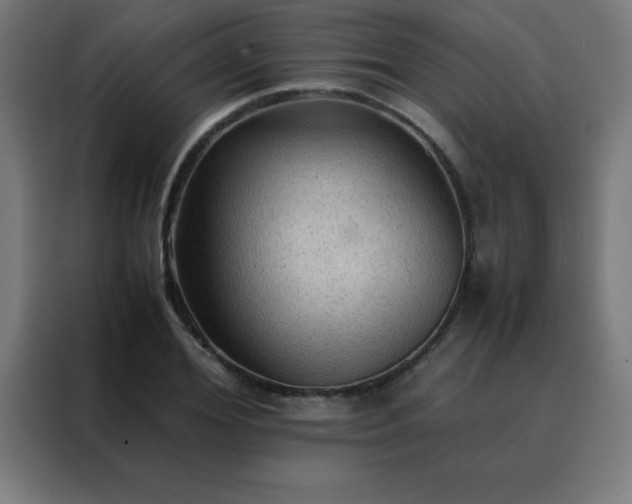 X0000088190980200705221659