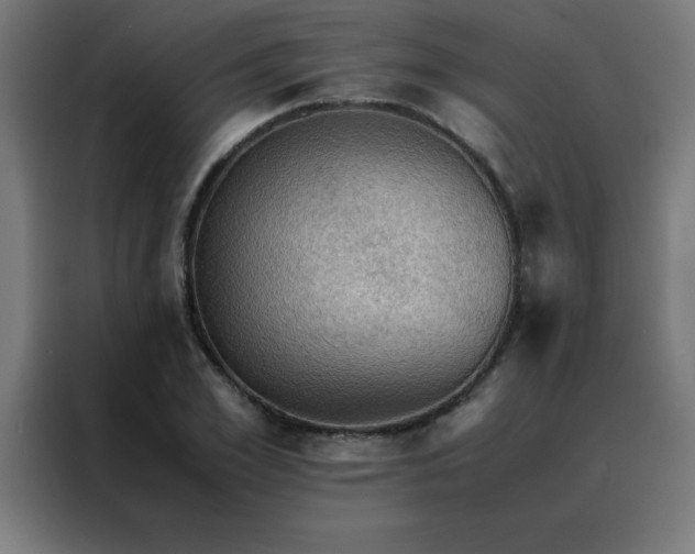 X0000088190981200705221659